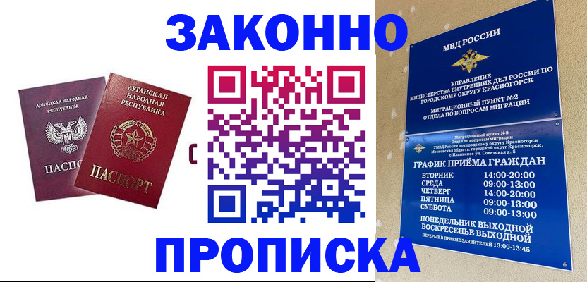 прописка в Новодвинске